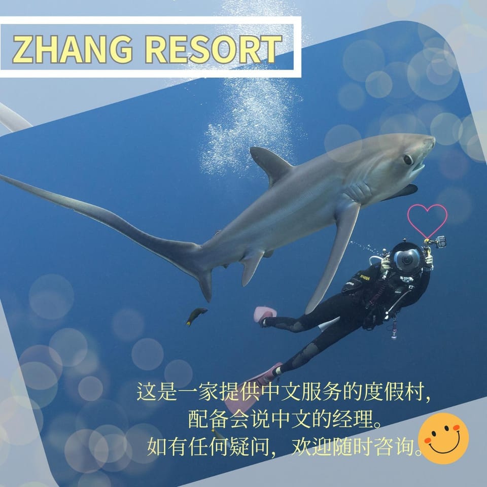 Neighbourhood, Natural landscape, Activities, Diving, Diving, Text overlay
