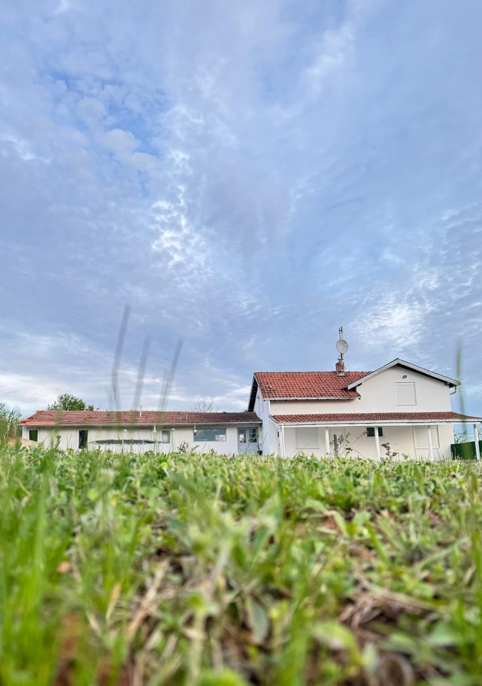 Property building, Spring, Day, Garden view