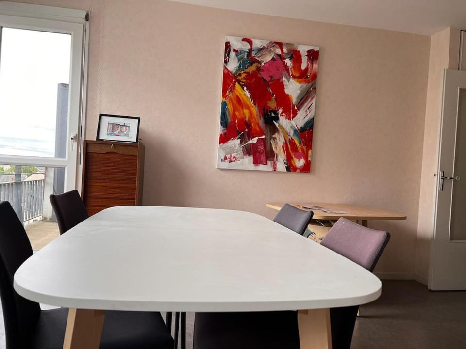 Appartement entier avec 2 terrasses Apartment in Le Mans