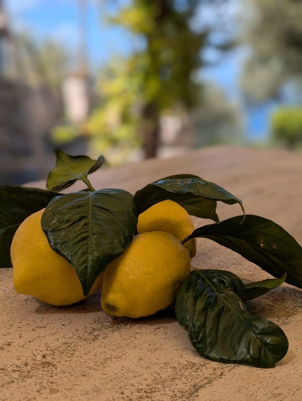 Villa Paradise Sea View Apartment in Vico Equense