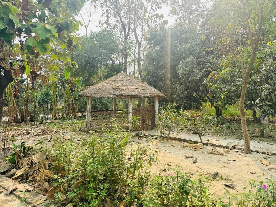 Nature View Homestay Vacation rental in Uttar Pradesh