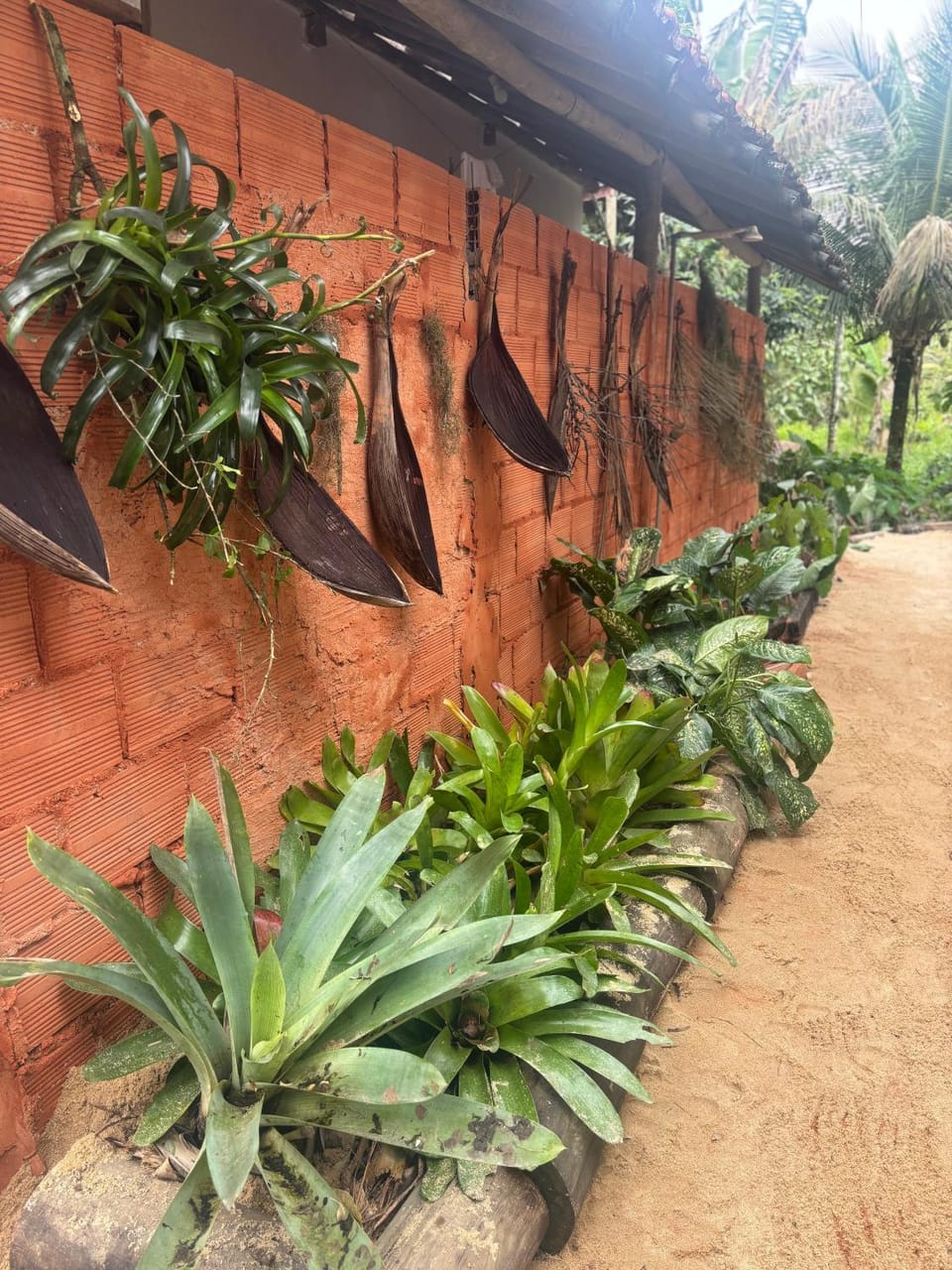 Casa natureza Paraty I House in State of Rio de Janeiro
