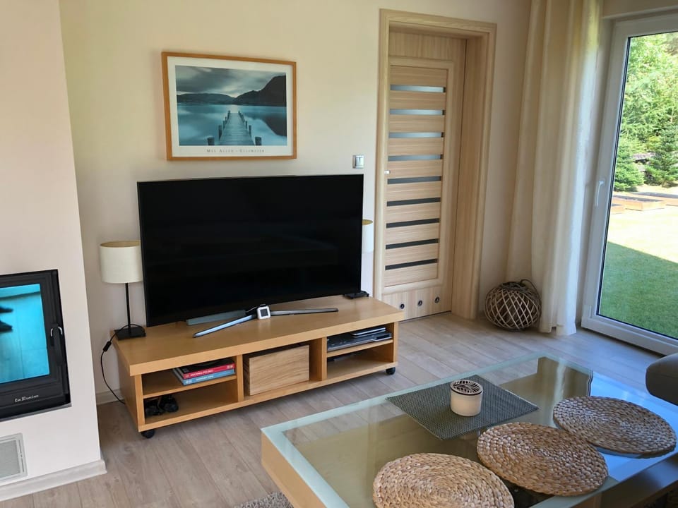 TV and multimedia