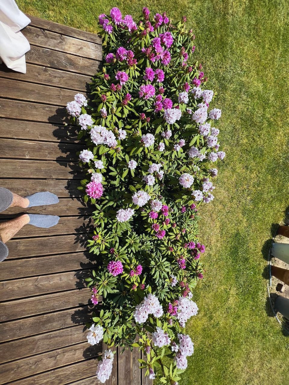 Day, People, Natural landscape, Garden, Balcony/Terrace, Garden view, group of guests