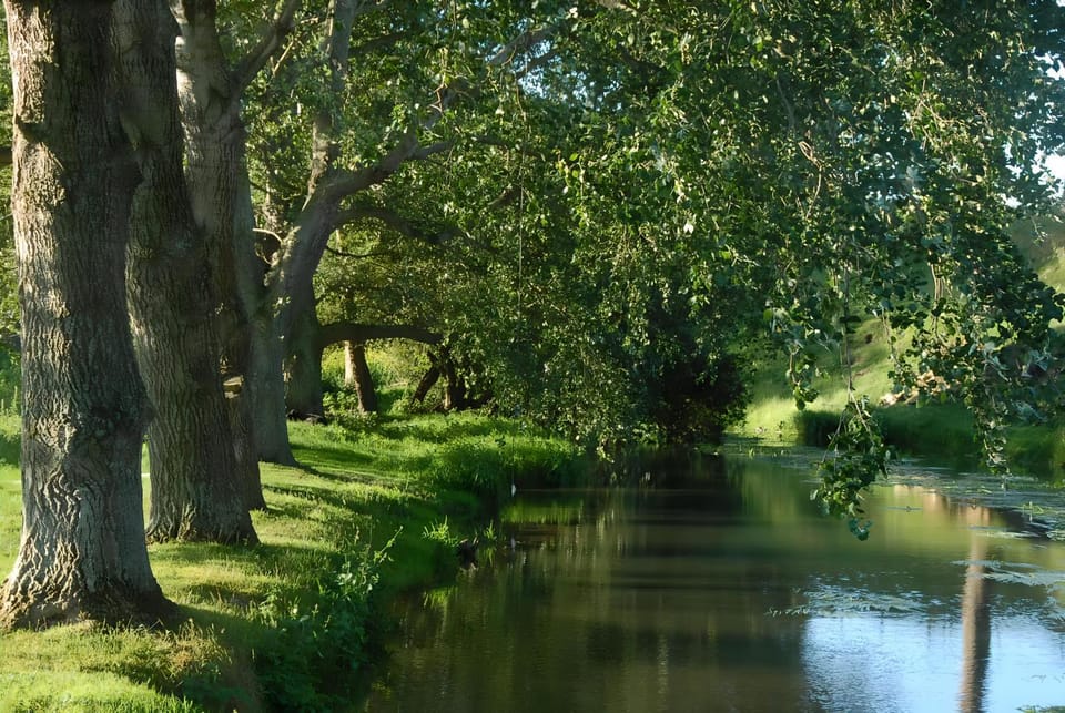 River view