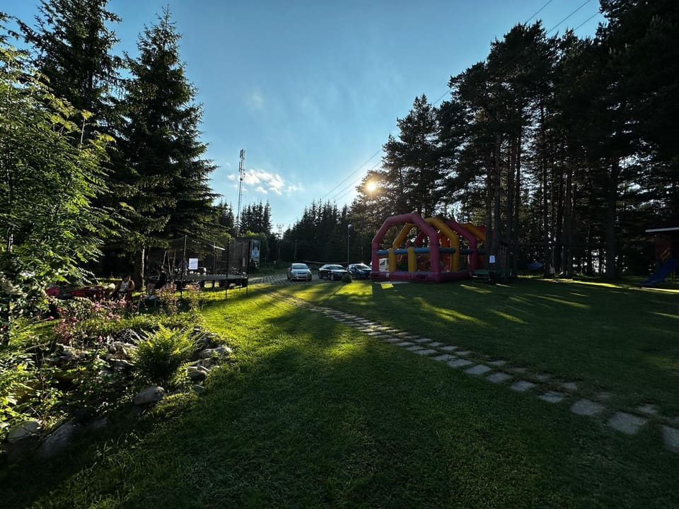 Spring, Day, Natural landscape, Garden, Garden view