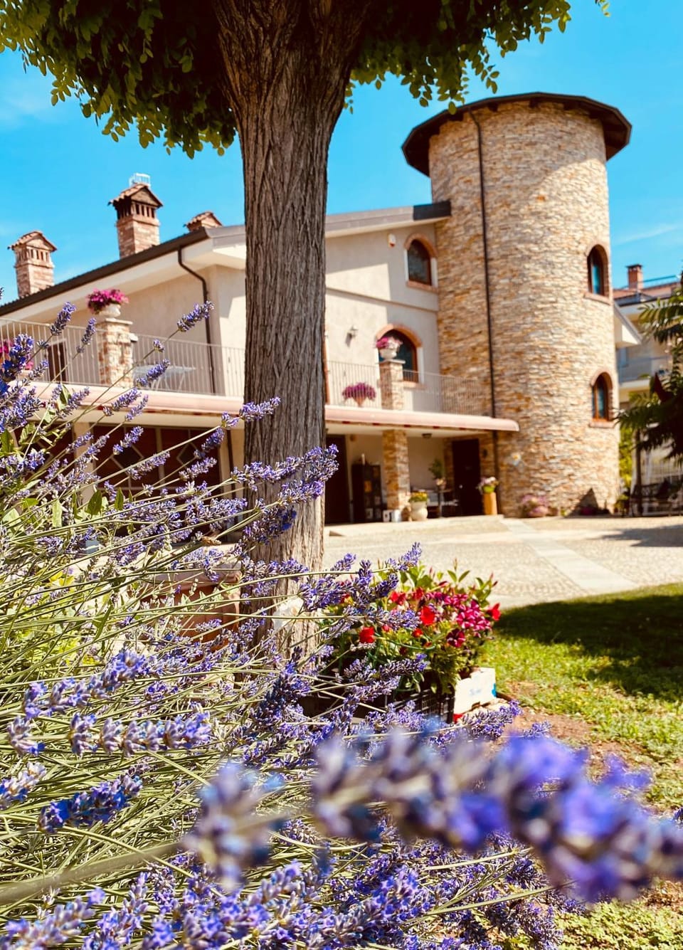 Garden, Garden view