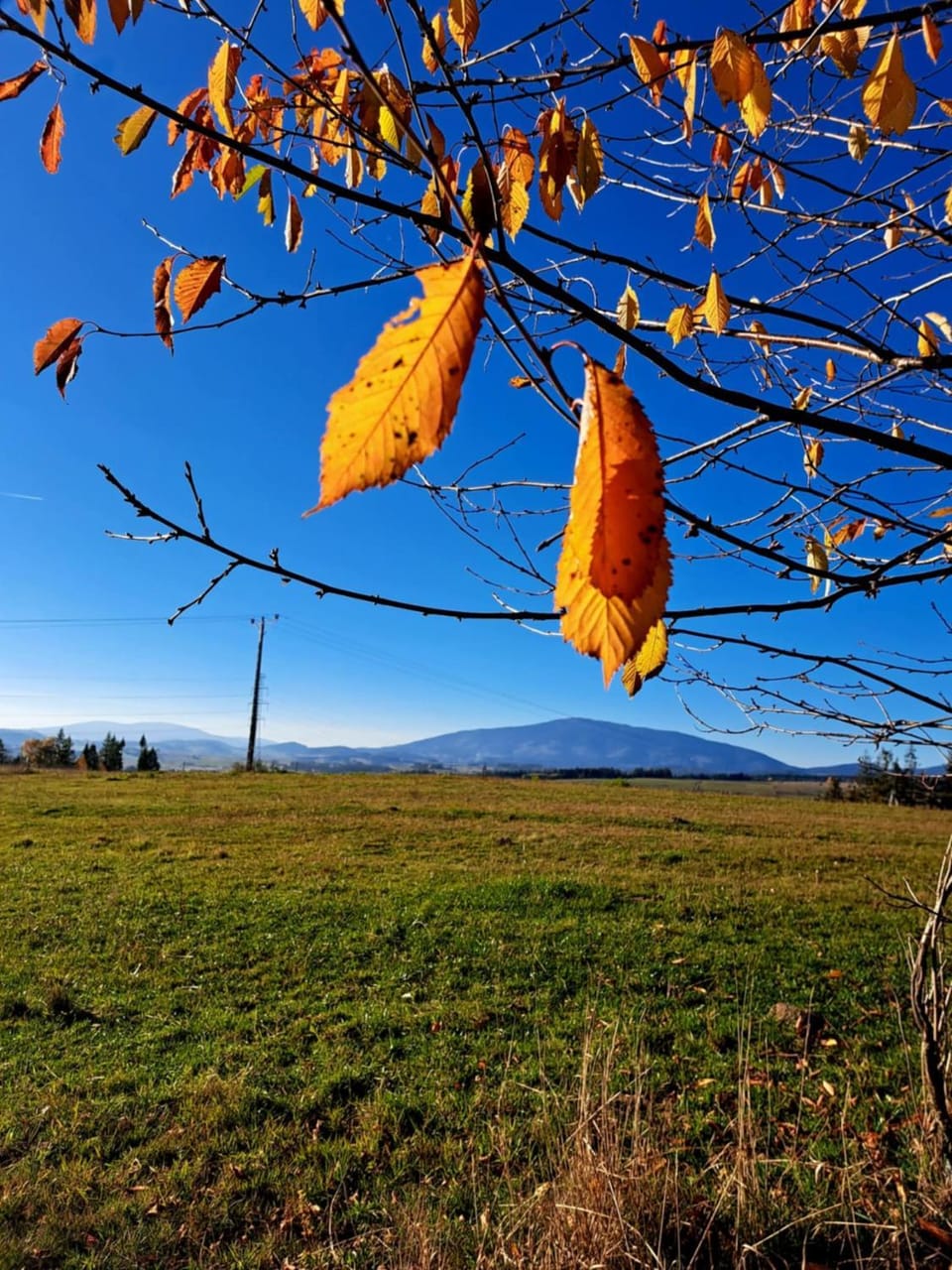 Spring, Day, Natural landscape, Garden, Mountain view
