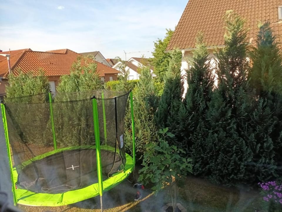 Garden, Garden view