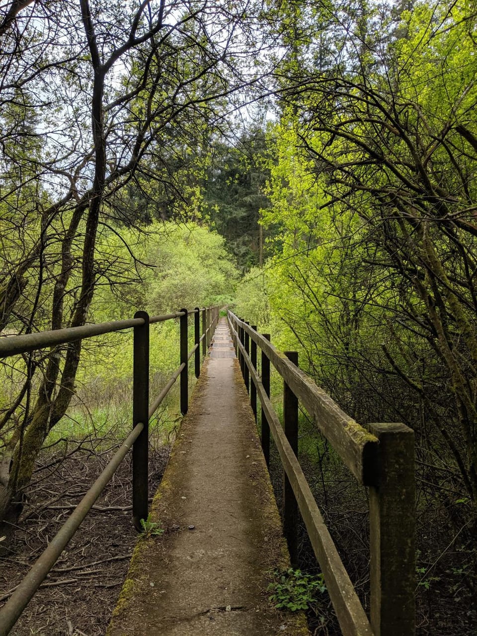 Natural landscape