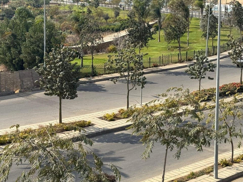 View (from property/room)