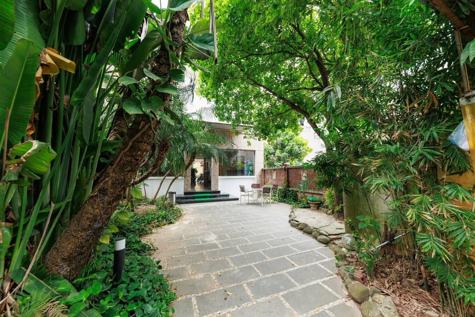 Garden
