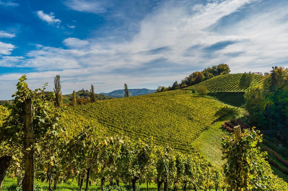 Weingut Hernach vlg Roschitz Vacation rental in Styria