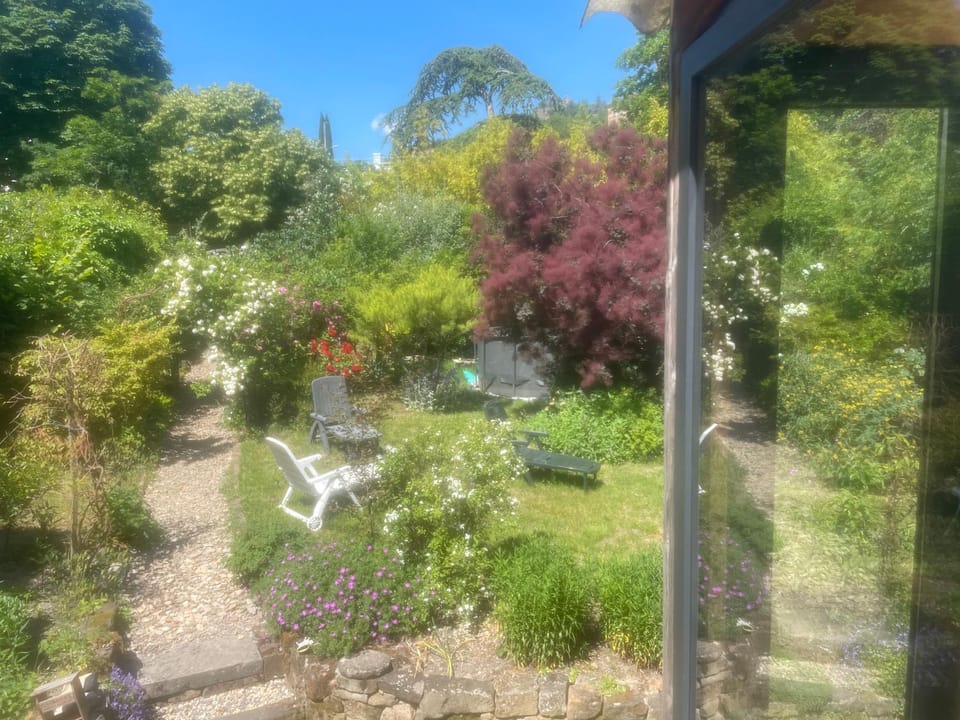 Garden view