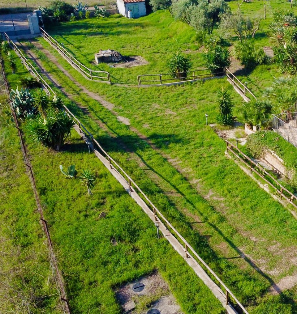 Day, Bird's eye view, Garden, On site, Garden view, Parking