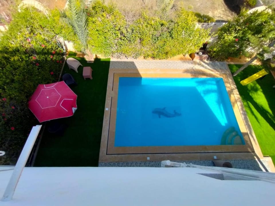 Garden, Garden view, Garden view, Pool view, Swimming pool