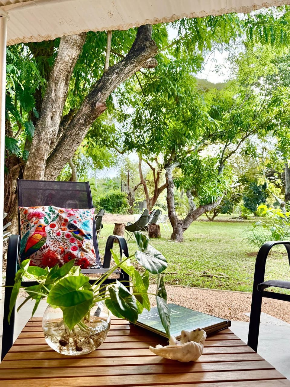 Patio, Day, Garden, Living room, Garden view