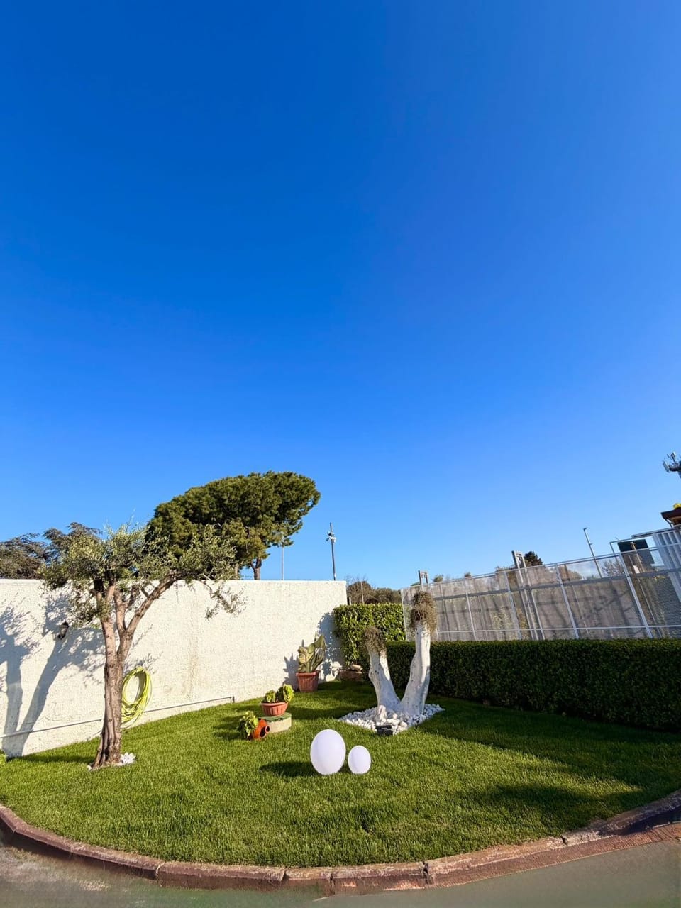 Garden view