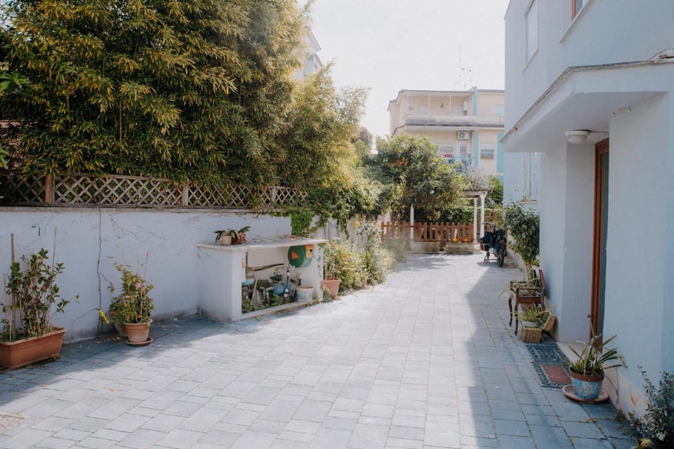 Property building, Spring, Garden, Garden view