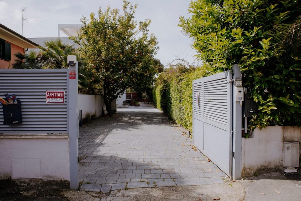 Neighbourhood, Street view