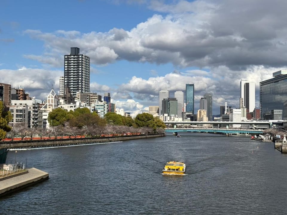 Nearby landmark, Natural landscape, City view, River view