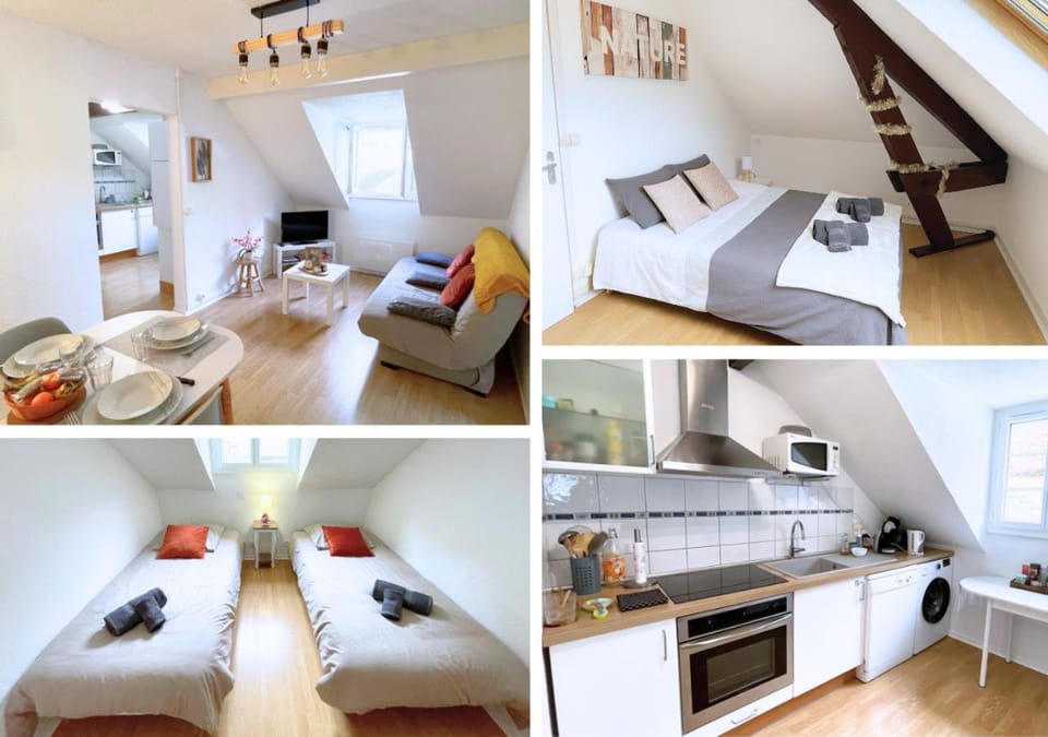 Bed, Kitchen or kitchenette, Living room, Seating area, Dining area, Bedroom