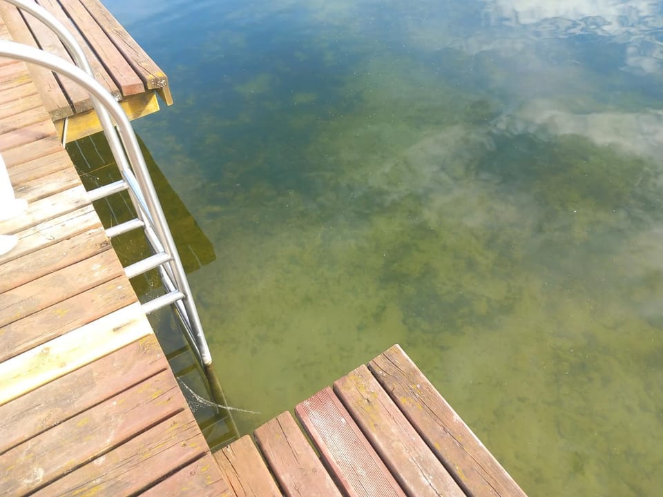 Lake view