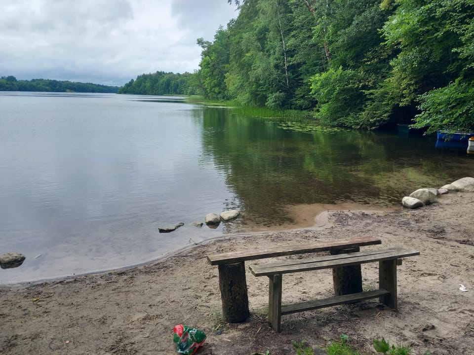 Lake view