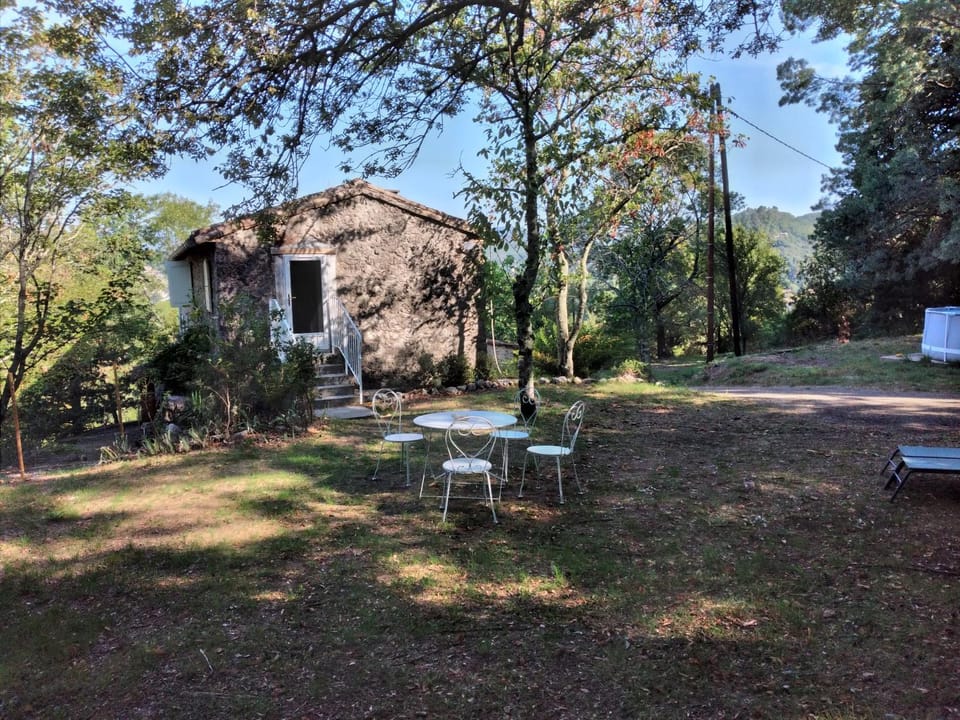 Natural landscape, Garden view