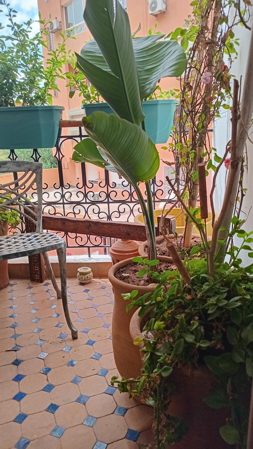 Patio, Balcony/Terrace