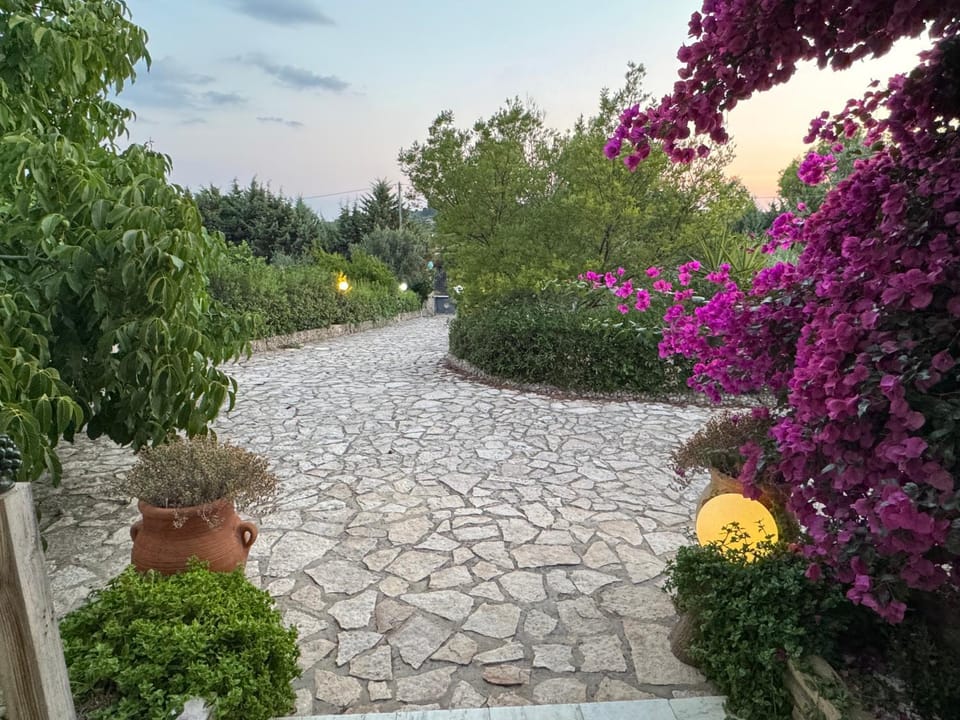 Spring, Day, Garden, Garden view