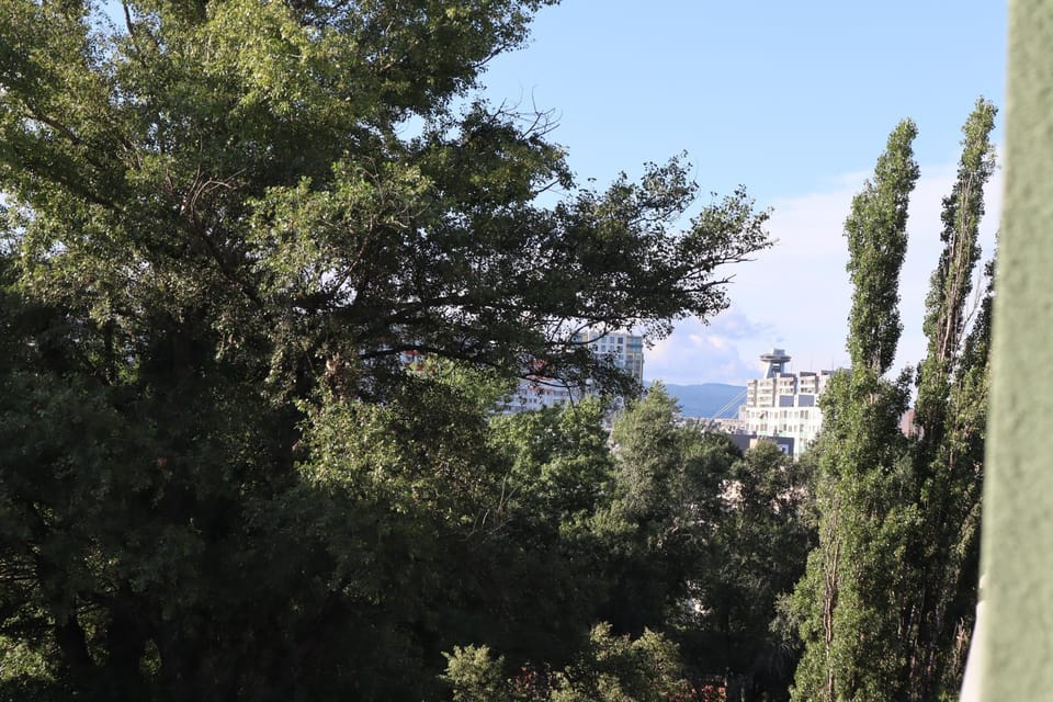 View (from property/room)