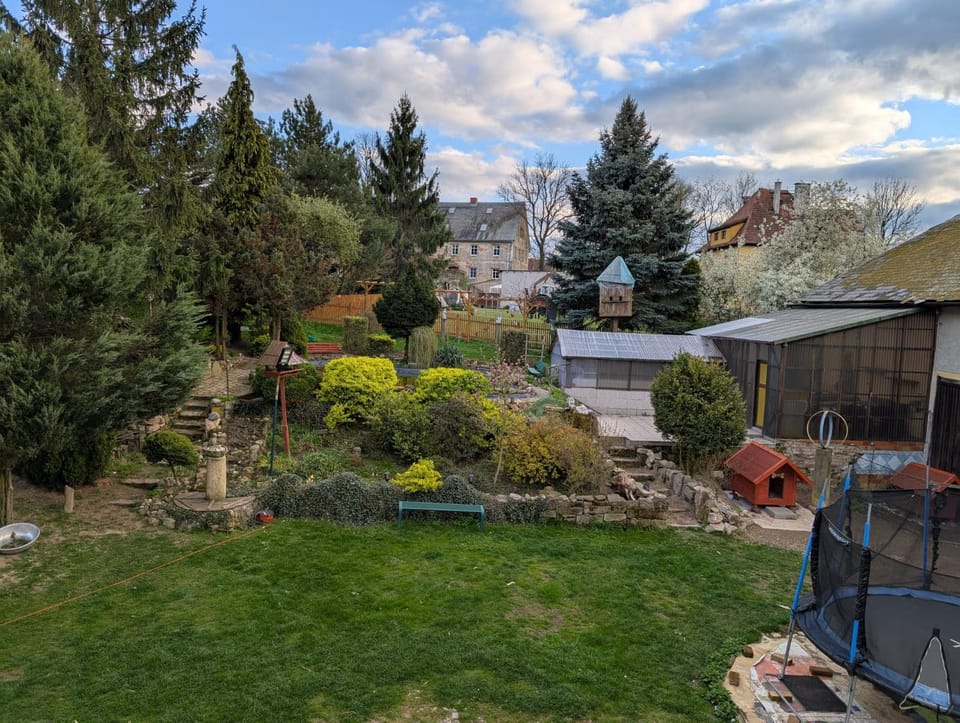 Spring, Day, Garden, Garden, Garden view