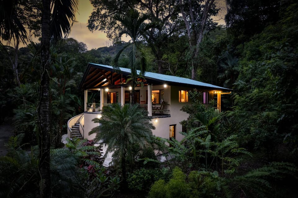 Property building, Night, Natural landscape, Garden view