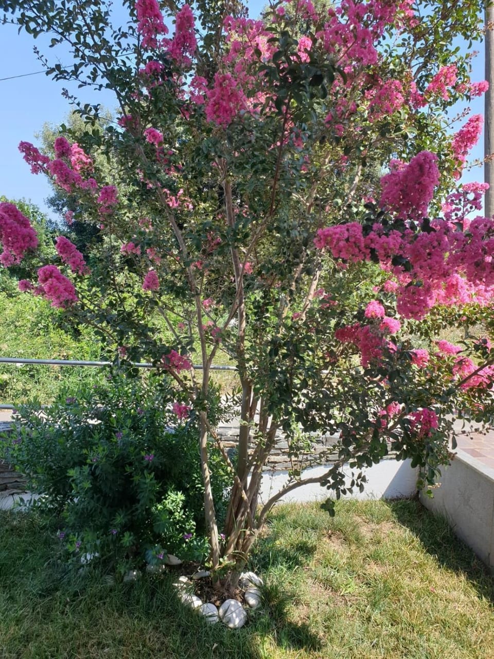 Location, children, Family