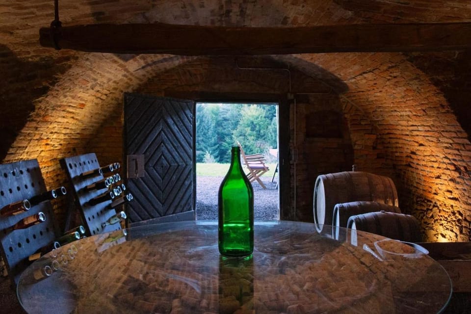 LandLoft in the Sausal wine region Chalet in Styria
