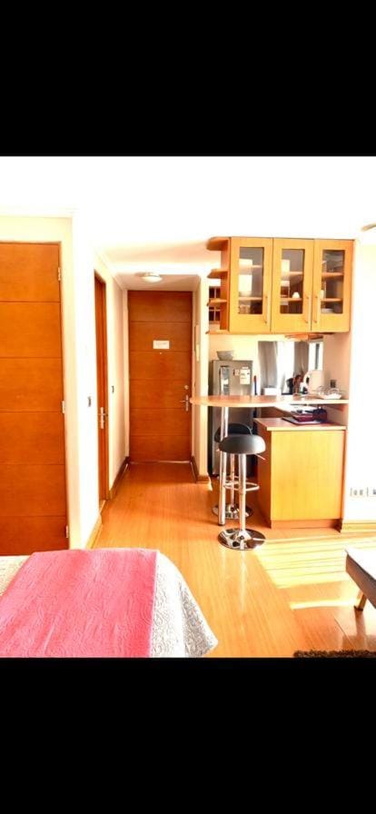 CentriK Location Apartment Providencia Apartment in Providencia