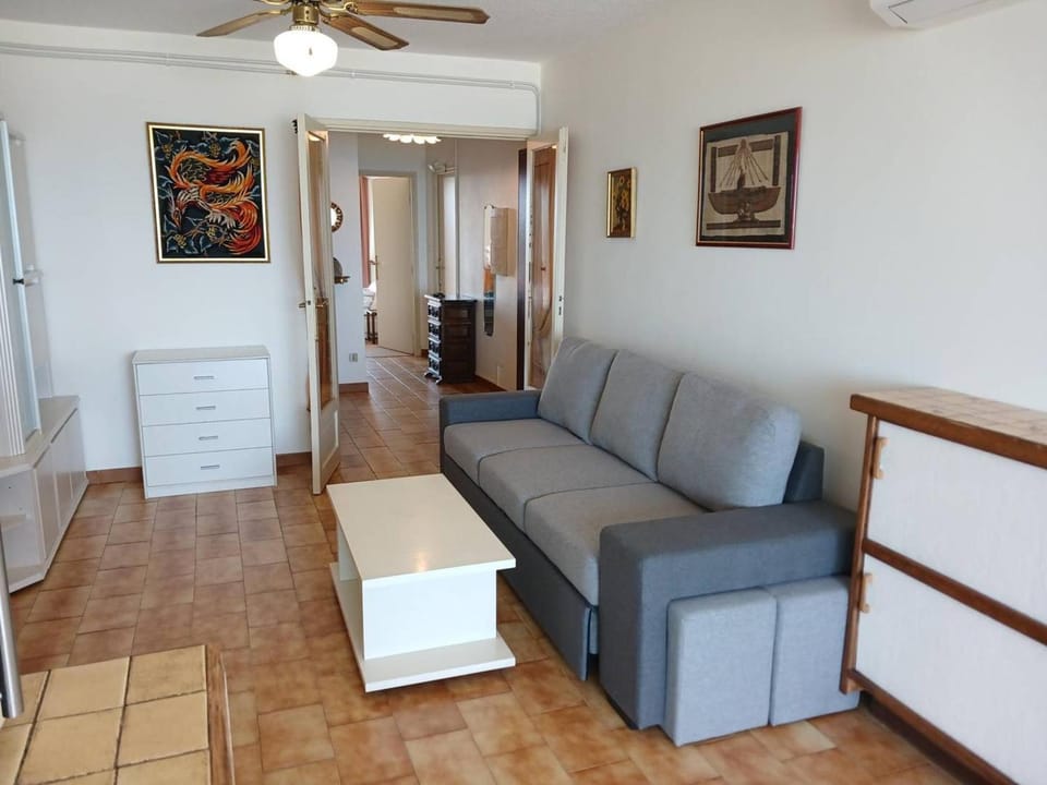 Grand 3 pièces climatisé avec parking à Canet-en-Roussillon - FR-1-833-2 Apartment in Canet-en-Roussillon