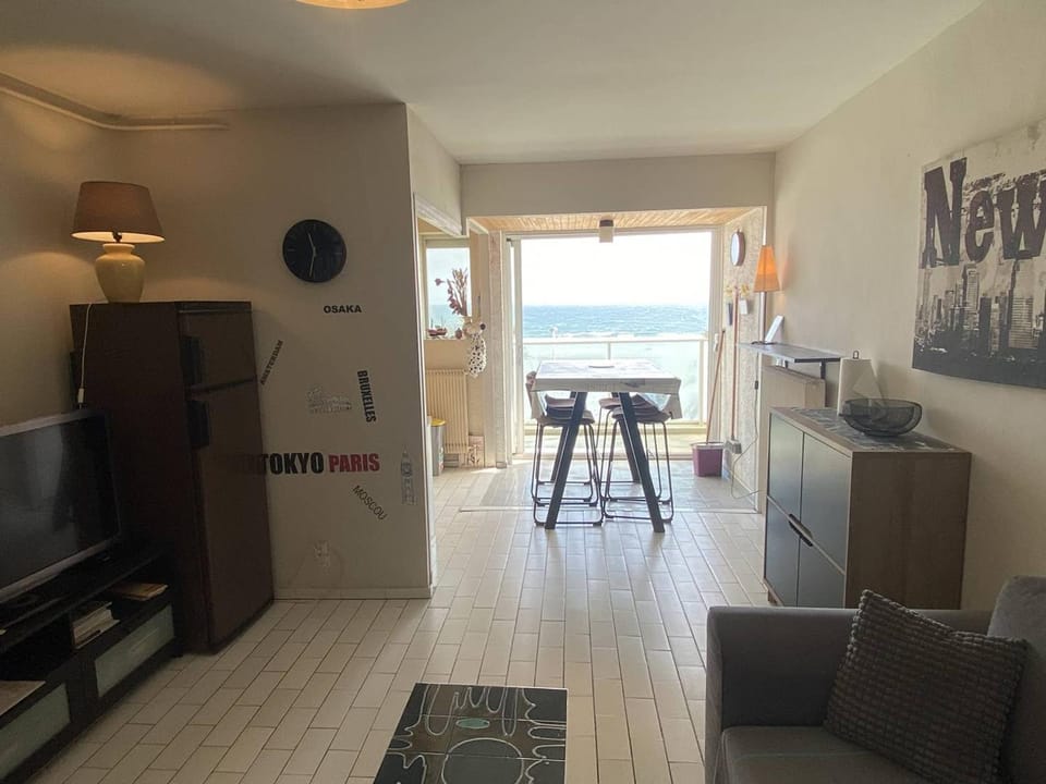 Grand 3 pièces face mer, animaux admis - FR-1-833-11 Apartment in Canet-en-Roussillon
