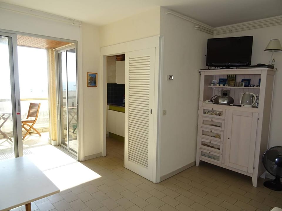 Appartement Climatisé avec WIFI et Animaux admis - Vue sur Mer - FR-1-833-19 Apartment in Canet-en-Roussillon