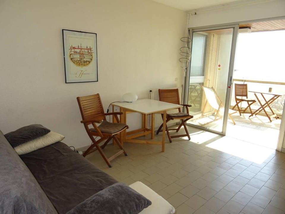 Appartement Climatisé avec WIFI et Animaux admis - Vue sur Mer - FR-1-833-19 Apartment in Canet-en-Roussillon