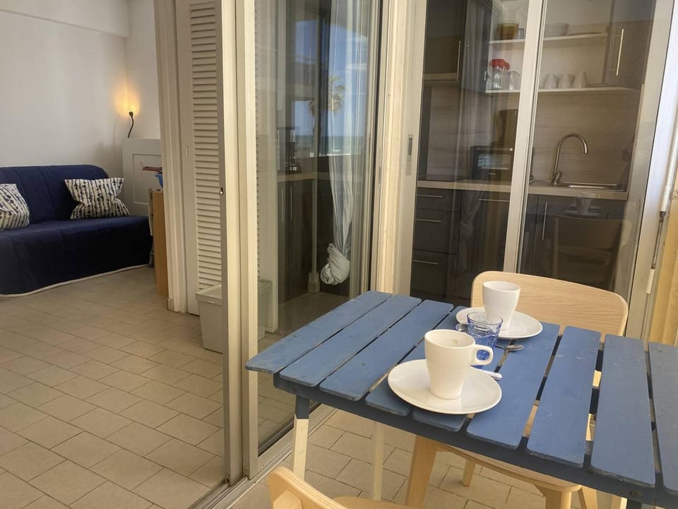 Appartement 2 pièces climatisé avec WIFI près de la plage - FR-1-833-16 Apartment in Canet-en-Roussillon