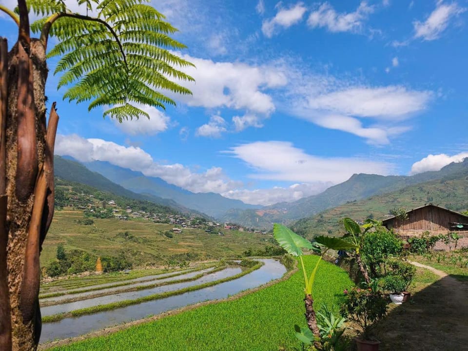 Natural landscape