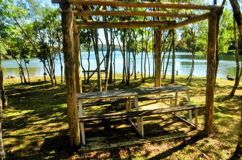 Lake view