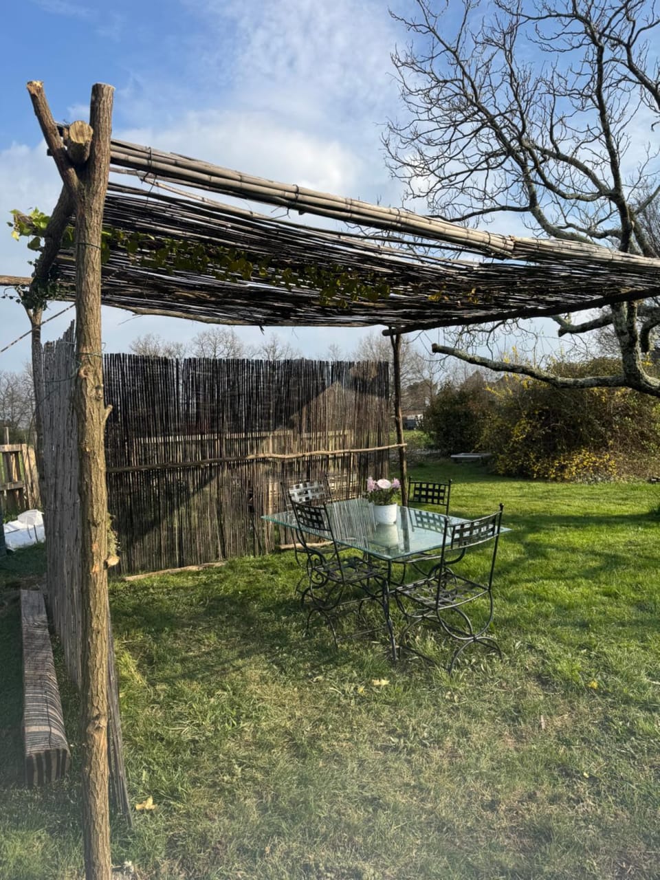 Garden, Balcony/Terrace