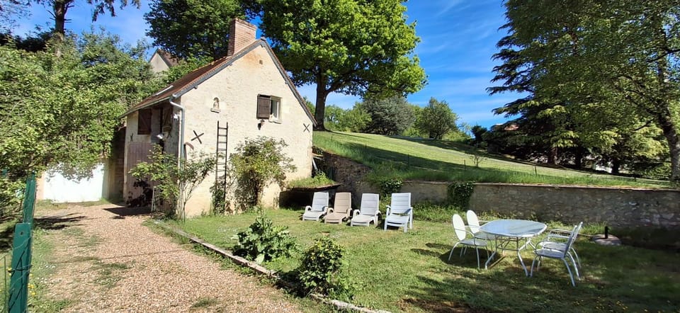 Garden, Garden view, sunbed