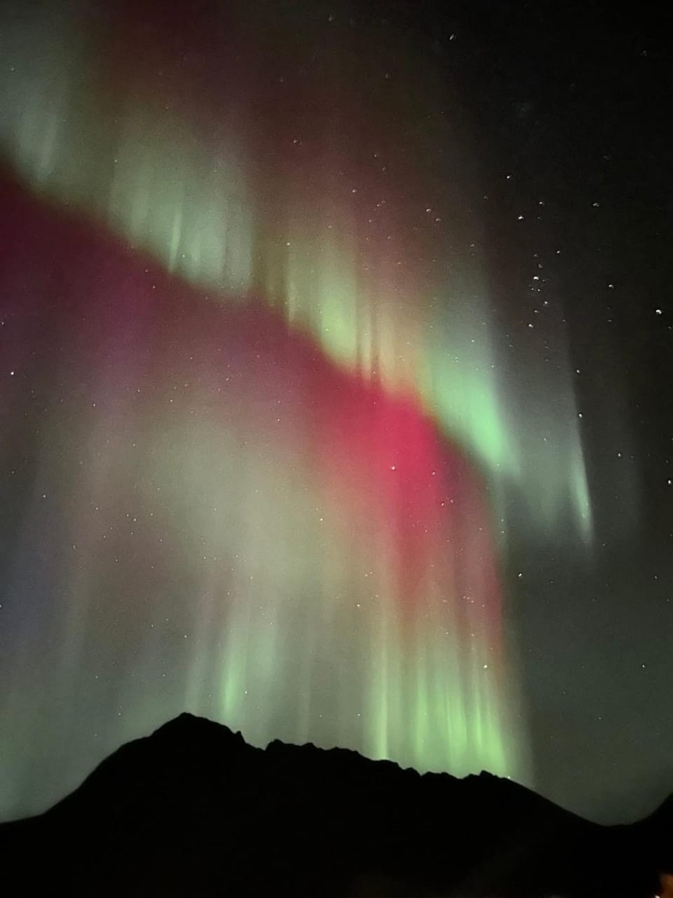 Downtown apartment in Kabelvåg Apartment in Lofoten
