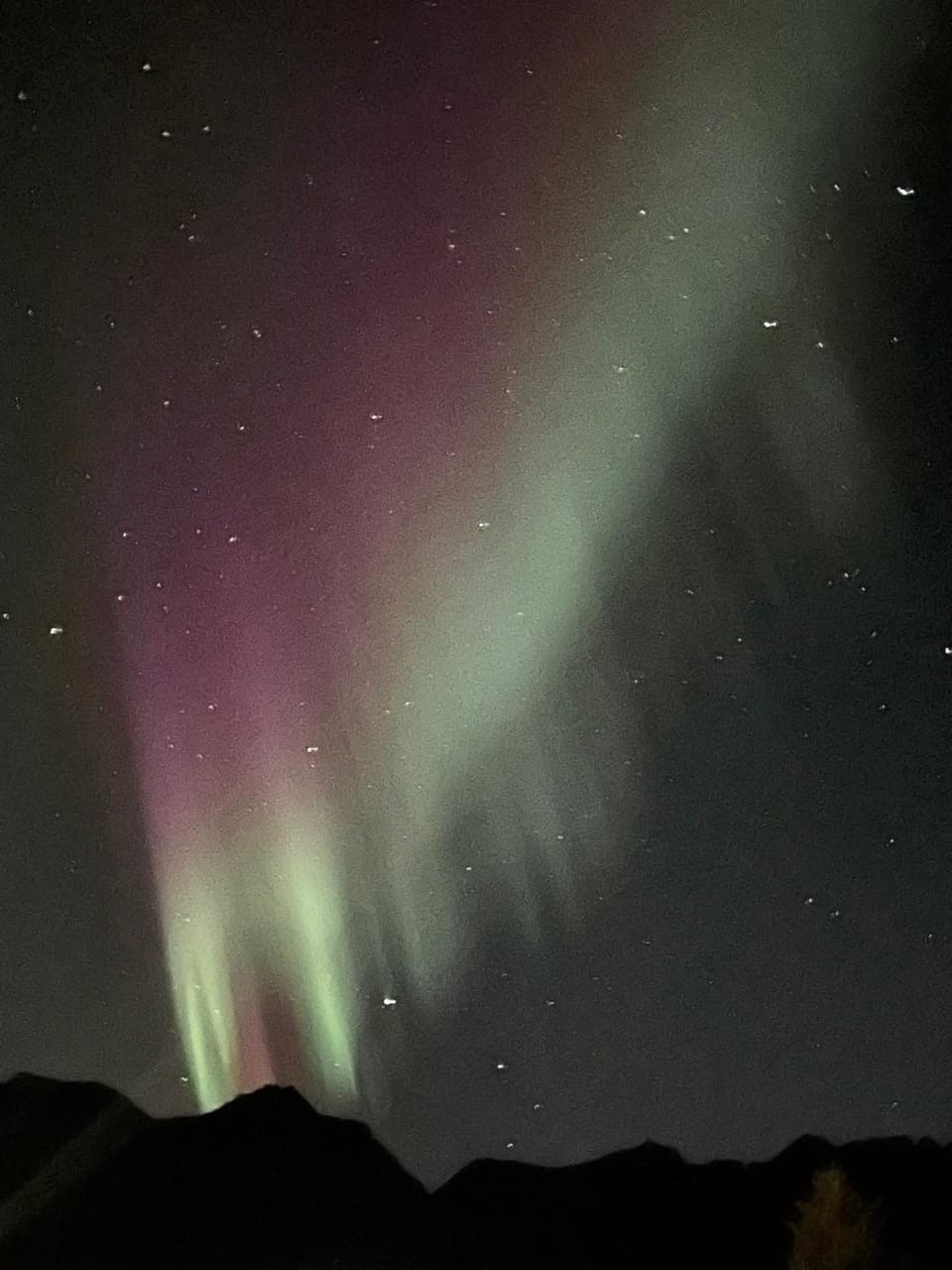 Downtown apartment in Kabelvåg Apartment in Lofoten