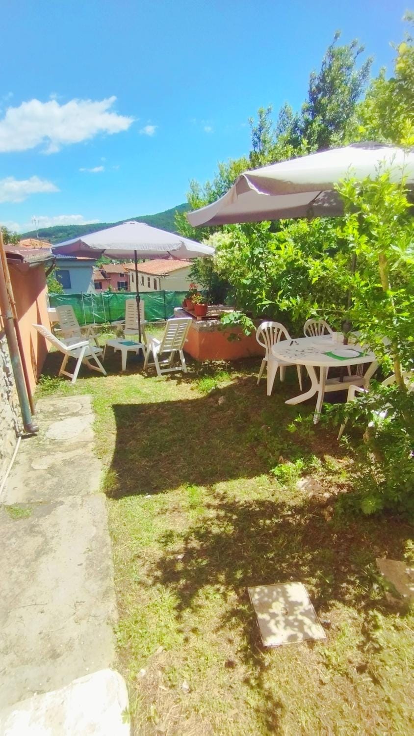 Patio, Spring, Day, Natural landscape, Garden, Garden view, sunbed