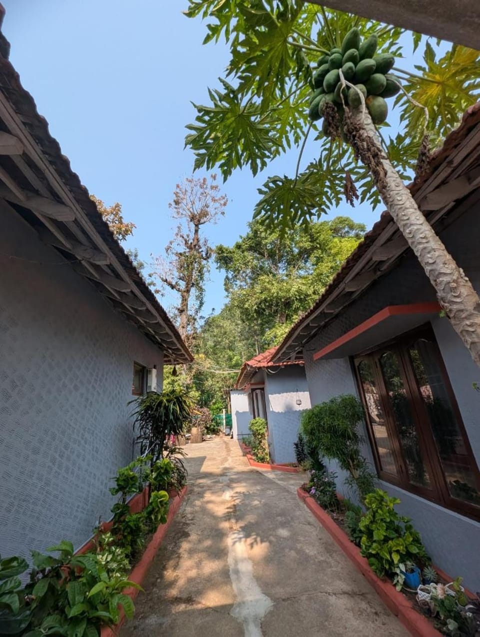 Garden view